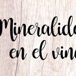 Mineralidad en el vino